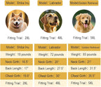 Hooded Dog Raincoat Apparel Poncho Waterproof Dog Clothes Pet Jacket,Dog Raincoats Winter Jacket for Small to Medium Dogs(Green,3XL)