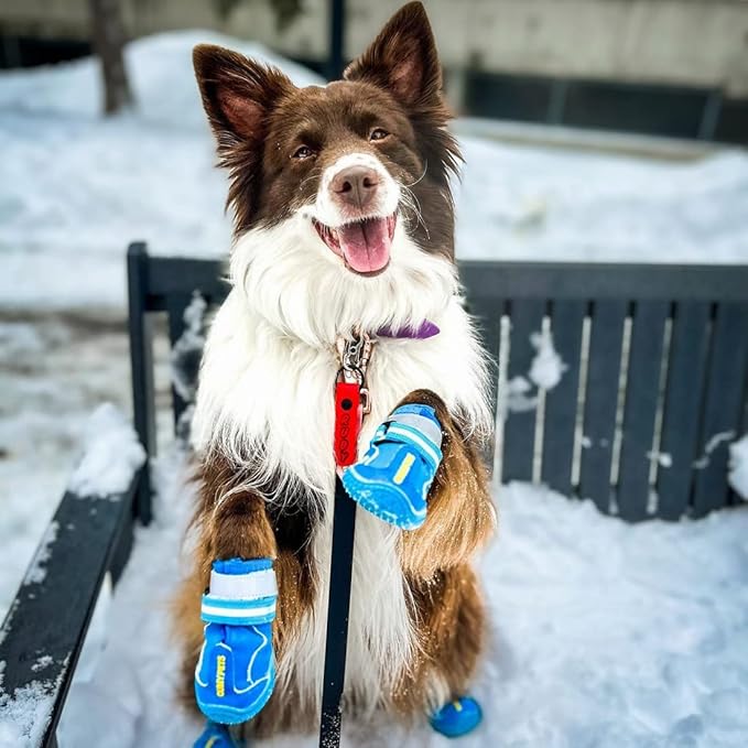 QUMY Dog Shoes for Large Dogs, Medium Dog Boots & Paw Protectors for Winter Snowy Day, Summer Hot Pavement, Waterproof in Rainy Weather, Outdoor Walking, Indoor Hardfloors Anti Slip Sole Blue 4