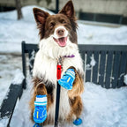 QUMY Dog Shoes for Large Dogs, Medium Dog Boots & Paw Protectors for Winter Snowy Day, Summer Hot Pavement, Waterproof in Rainy Weather, Outdoor Walking, Indoor Hardfloors Anti Slip Sole Blue 8