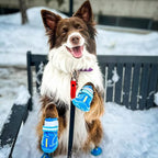 QUMY Dog Shoes for Large Dogs, Medium Dog Boots & Paw Protectors for Winter Snowy Day, Summer Hot Pavement, Waterproof in Rainy Weather, Outdoor Walking, Indoor Hardfloors Anti Slip Sole Blue 6