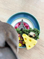 OHMO Slow Feeder Dog Bowls (Sunrise, Celestial) Enrichment Toy Soft Silicone Food Safe Feeding Bowl Non Slip Suction Cup for All Breed Pet, Cat Slow Down Eating Dishes, Boredom and Anxiety Reducer
