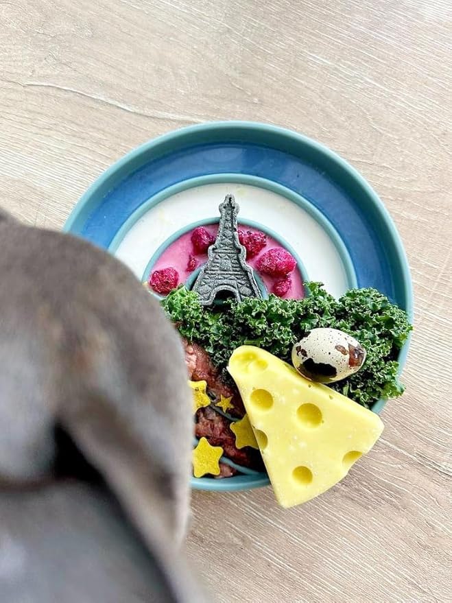 OHMO Slow Feeder Dog Bowls (Sunrise, Celestial) Enrichment Toy Soft Silicone Food Safe Feeding Bowl Non Slip Suction Cup for All Breed Pet, Cat Slow Down Eating Dishes, Boredom and Anxiety Reducer