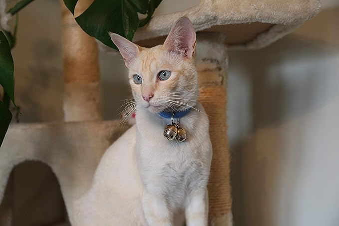 Beau's Bells 2 Extra Loud Cat & Dog Bells | Pet Tracker | Save Birds & Wildlife | Luxury Handmade Copper (Medium)