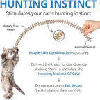 CATZZLE Cat Treats, Dental Chews for Indoor Cats, Cat Teeth Cleaning, Dental Care Snacks - Hairball Control (Salmon Flavor) (5 Sticks (Pack of 1))