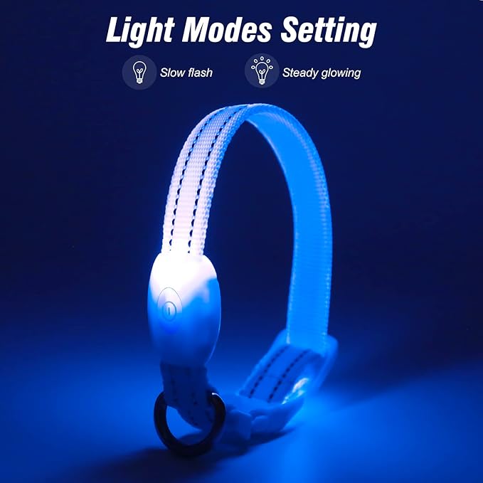 Visinite Light Up Dog Collars for Small Dogs,LED Dog Collar Light Rechargeable,Fully Adjustable Lighted Dog Collar,Glow in The Dark Dog Collars with Dog Lights for Night Walking,Blue