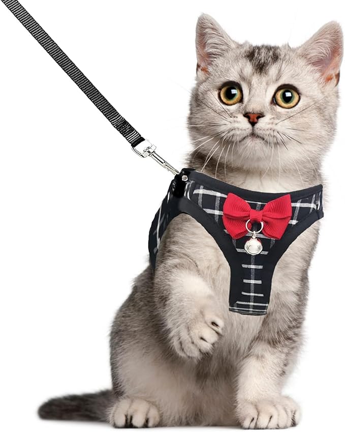 Cat Leash and Harness Set,Breathable Dog Harness,Pet Harness,Adjustable Mesh cat Harness and Leash Escape Proof for Puppy Cat Rabbit (Black, S)