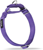 Hyhug Martingale Collar for Dogs Extra Large Purple |Escape - Proof Heavy Duty Nylon Durable No Pull, Ideal for Training & Daily Walks