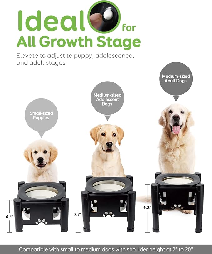 Pawque Elevated Dog Bowls, 80Oz Stainless Steel Water Feeder with 3 Adjustable Heights, Anti-Spill Design for Small to Medium Sized Dogs