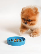 LE TAUCI Ceramic Slow Feeder Dog Bowls Small Breed, 0.6 Cups Dog Food Dish for Fast Eaters, Puzzle Bowl for Small Dogs and Cats,Vortex Blue