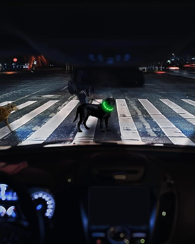 Joytale Light Up Dog Collar, Rechargeable Rainproof LED Collar for Night Walking Safety, Soft Silicone Glow in The Dark, Suitable for Small Medium Large Dogs, Green