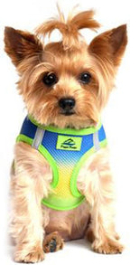 Doggie Design No Choke Dog Harness - Simple Step-in and Go Dog Vest for Small, Medium, and Large Breeds - Breathable Mesh Polyester Pet Harness - Cobalt Sport - M