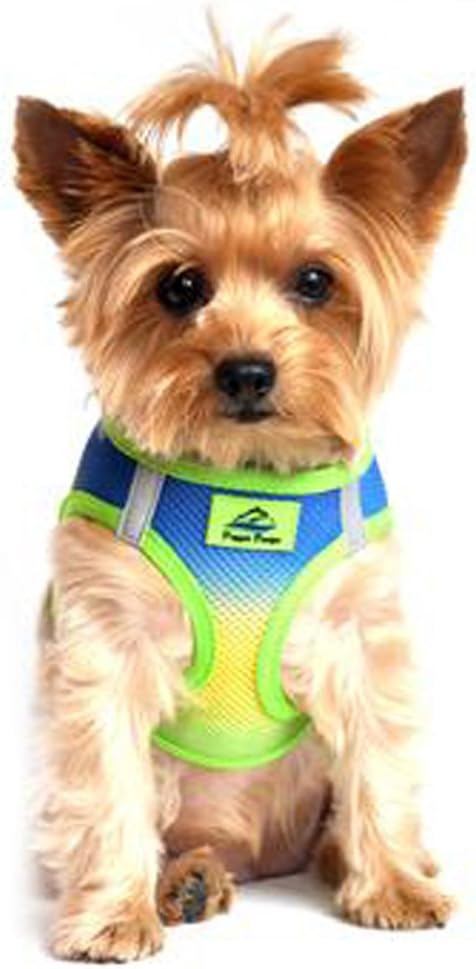 Doggie Design No Choke Dog Harness - Simple Step-in and Go Dog Vest for Small, Medium, and Large Breeds - Breathable Mesh Polyester Pet Harness - Cobalt Sport - M