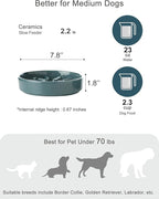 Ceramic Maze Dog Slow Feeder with Non-Slip Silicone Rim – Heavy-Duty Stoneware Bowl with Puzzle Pattern for Bloating & Obesity Prevention (Blue-M)