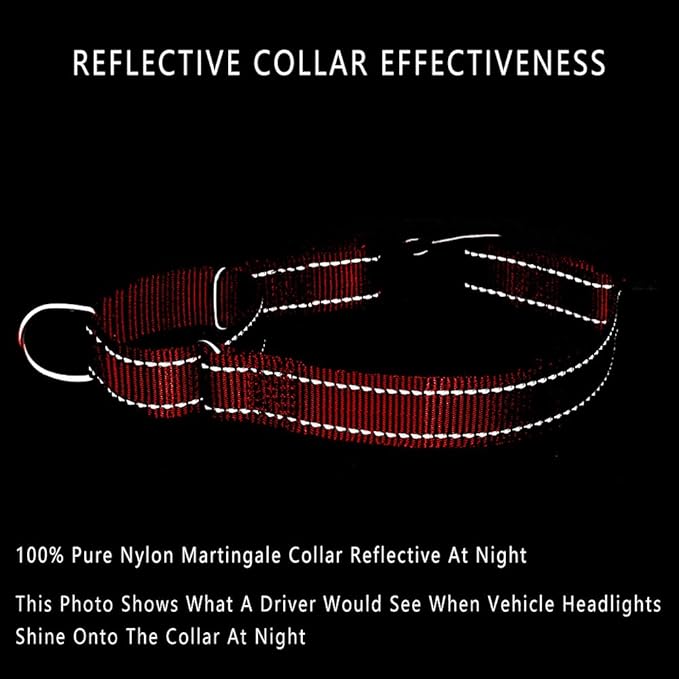 PLUTUS PET Reflective Martingale Collar with Quick Snap Buckle,No Pull Dog Choker Collar for Small Medium Large Dogs,L,Red