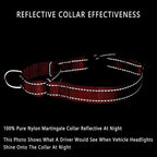 PLUTUS PET Reflective Martingale Collar with Quick Snap Buckle,No Pull Dog Choker Collar for Small Medium Large Dogs,L,Red