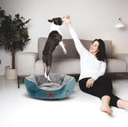 Asvin Small Dog Bed for Small Dogs, Cat Beds for Indoor Cats, Pet Bed for Puppy and Kitty, Extra Soft & Machine Washable with Anti-Slip & Water-Resistant Oxford Bottom, Teal, 20 inches