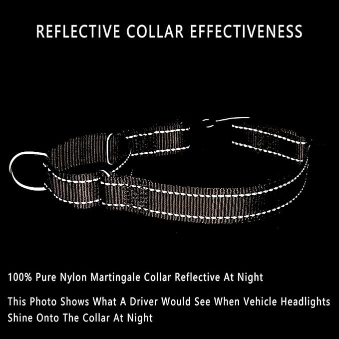 Plutus Pet Reflective Martingale Collar with Buckle - Durable and Adjustable Training Collar for No Pulling, Dog Choker Collar for Small Medium Large Dogs, Beige, S