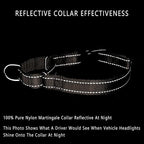 Plutus Pet Reflective Martingale Collar with Buckle - Durable and Adjustable Training Collar for No Pulling, Dog Choker Collar for Small Medium Large Dogs, Beige, S