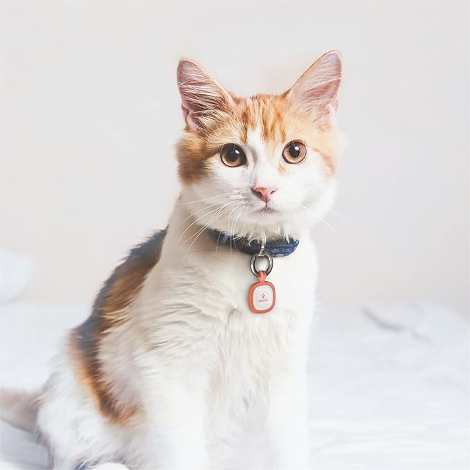 Pawaii Silent Silicone Dog ID Tag, Modifiable Pet Online Profile and Emergency Contacts, Scan QR for Instant Location Alerts, 1 Pack (Deep Sea Blue)