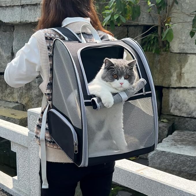 Cat Carrier Backpack, Dog Backpack, Ventilate Pet Cats Puppy Dogs Birds Bunny Backpack for Travel Indoor Outdoor Use(Black)