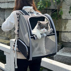 Cat Carrier Backpack, Dog Backpack, Ventilate Pet Cats Puppy Dogs Birds Bunny Backpack for Travel Indoor Outdoor Use(Black)