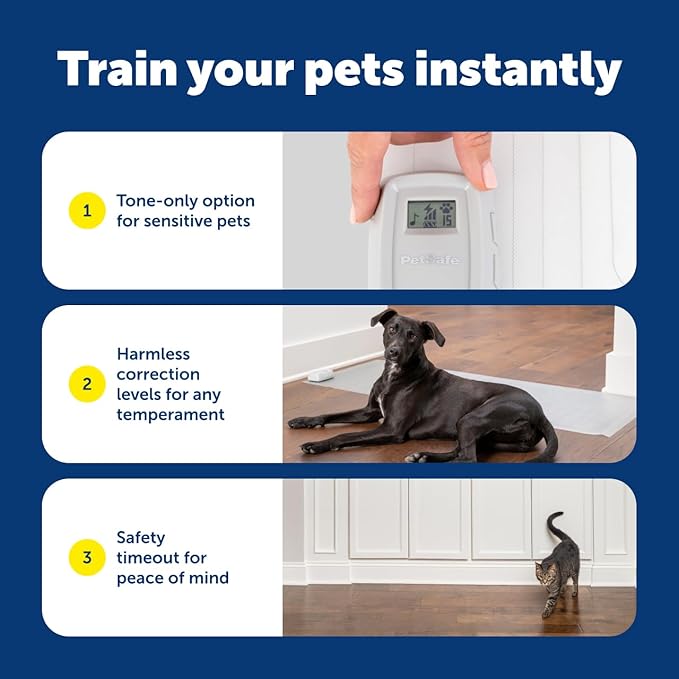 PetSafe ScatMat Indoor Training Mat