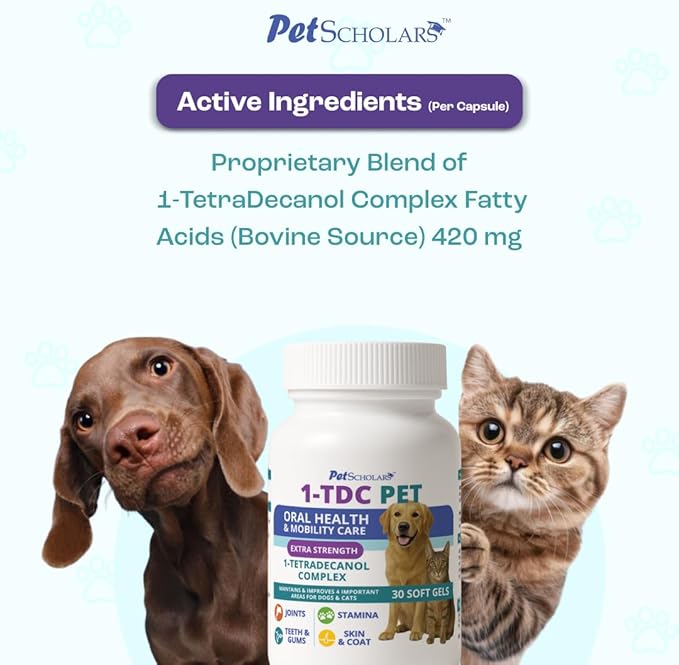1TDC Dental & Joint Health Softgel Supplement for Dogs & Cats, Supports Oral Health, Stamina, Mobility, Muscle Strength & Recovery, Maintains Skin & Coat Health of Pets (120 Soft Gels)