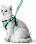 PUPTECK Cat Harness and Leash Set Escape Proof Reflective Cat Walking Harness Adjustable Soft Breathable Mesh Vest for Small Pets, Aquamarine, M