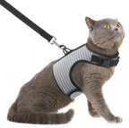 PUPTECK Soft Mesh Cat Vest Harness and Leash Set Puppy Padded Pet Harnesses Escape Proof for Cats Small Dogs Rabbits Bunny