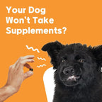 NeLM Supplements & Vitamins for Dogs - Mouth Dissolving Strips - Multivitamin, Eye, Hip & Joints, Gut, Dental Support - Pet Health Supplies - 30 Stips(Pack of 1) (30 Strips (Pack of 1), Multivitamin)