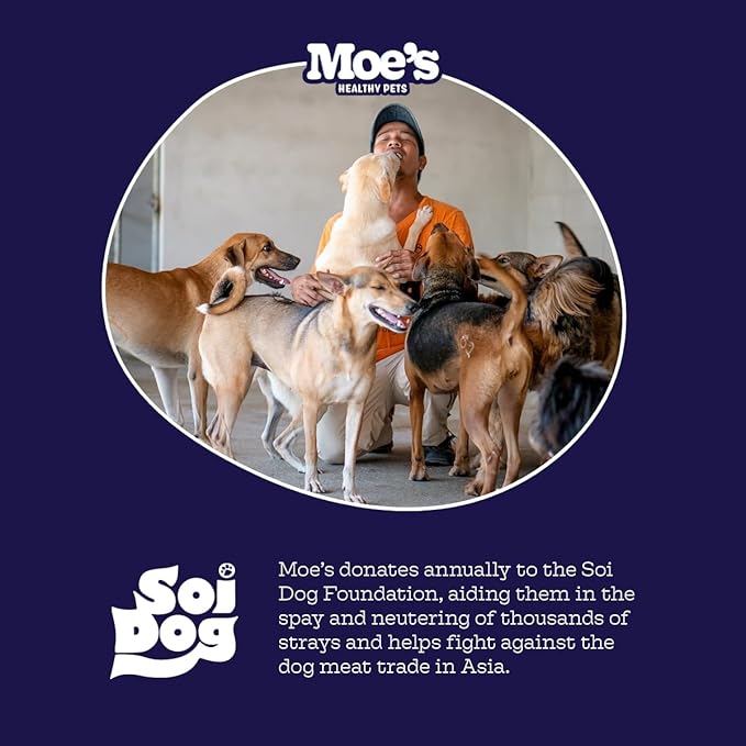 Moe’s 5-in-1 Essential Dog Multivitamin 90 Chicken Flavored Chews for Dog's Immune Support, Heart, Skin, Coat, & Overall Health- Vitamins A, B12, C, D, E, Antioxidants, Omega 3 for All Ages & Breeds