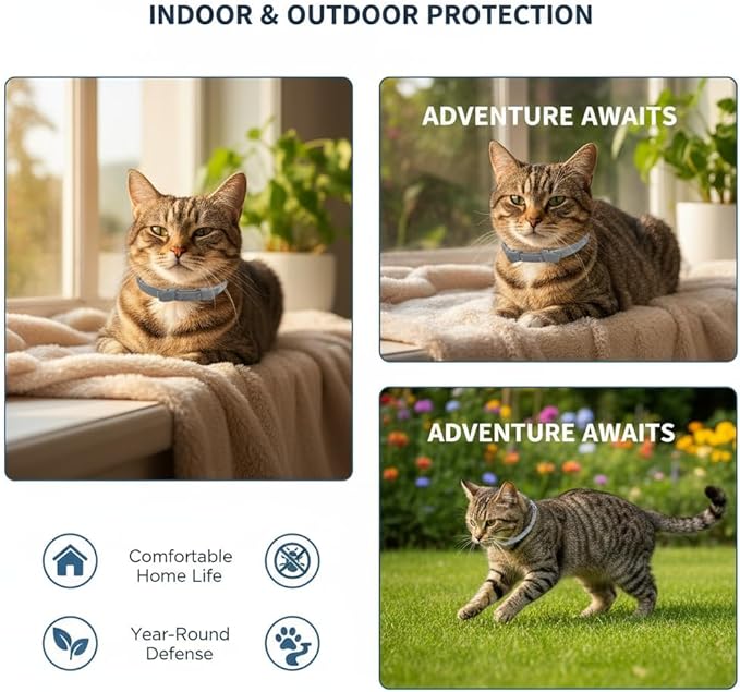 Cat Flea & Tick Collar - Premium Plant-Based Essential Oils, Waterproof, 6-Month Protection for Small Kittens, 1 Pack