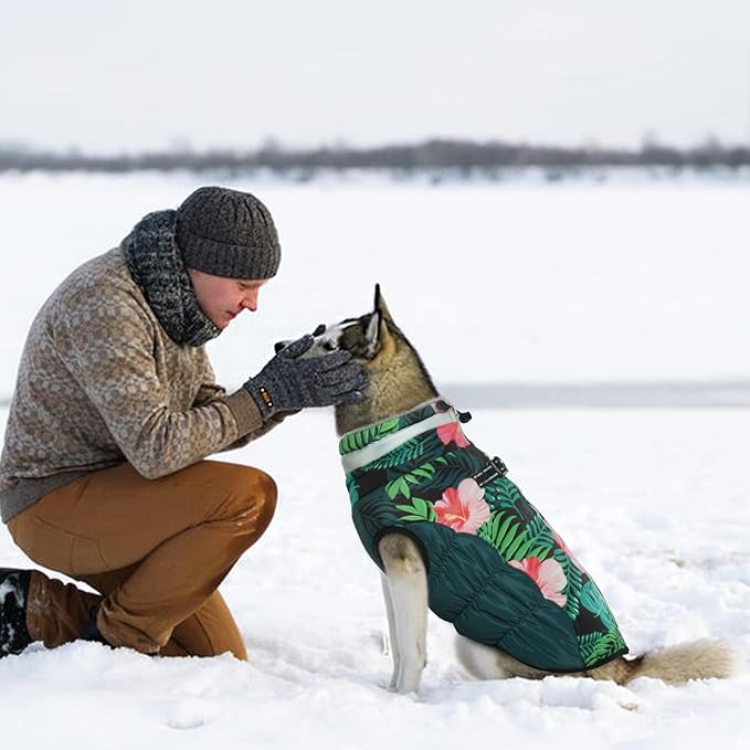 Dog Jackets for Medium Dogs,Medium Dog Coat,Warm Pet Winter Coat Zip Up Back,Waterproof Dogs Jacket with D-Ring,Pet Cold Weather Coats with Fleece Lined, Snowsuit Pug Boston Terrier,M