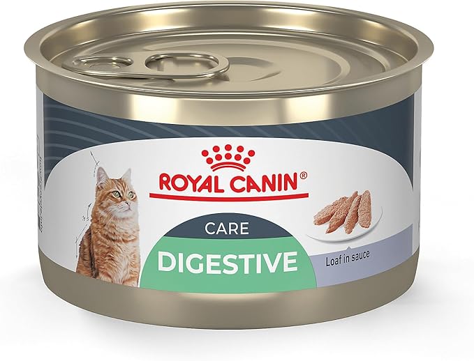Royal Canin Feline Care Nutrition Digestive Care Adult Loaf in Sauce Cat Food, 5.1 oz (Pack of 24)