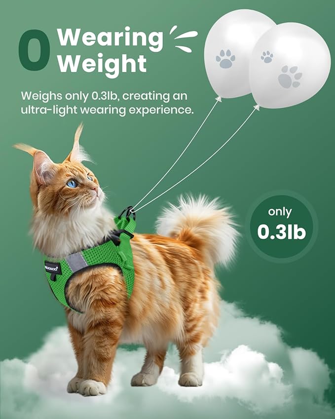 FAYOGOO Cat Harness, Cat Leash and Harness Set for Walking Escape Proof, Harness for Small Cats/Small Dogs, Large Kitten/Puppy Harness and Leash, Harness for Cats S-XXL(Neon Green, XX-Large)