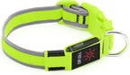 YFbrite Light up Dog Collar, USB Rechargeable LED Puppy Collar Super Bright Adjustable Glowing Dog Lights for Night Walking (Green, Medium)