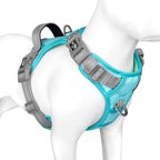 PHOEPET No Pull Dog Harness, Unique Colors Reflective Adjustable Dog Vest, with Soft Training Handle Metal Clips for Small Medium Large Dogs (Mint Green Base & Grey Straps,L)
