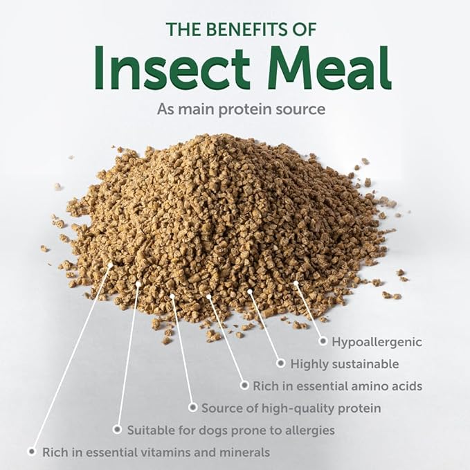 Nature's Protection Superior Care White Dogs Grain-Free Dry Dog Food - High Protein, Tear Stain Dog Food for All Breeds Light Coated All Life Stages Dogs, Fresh Pet Meal, Insect, 22 lb