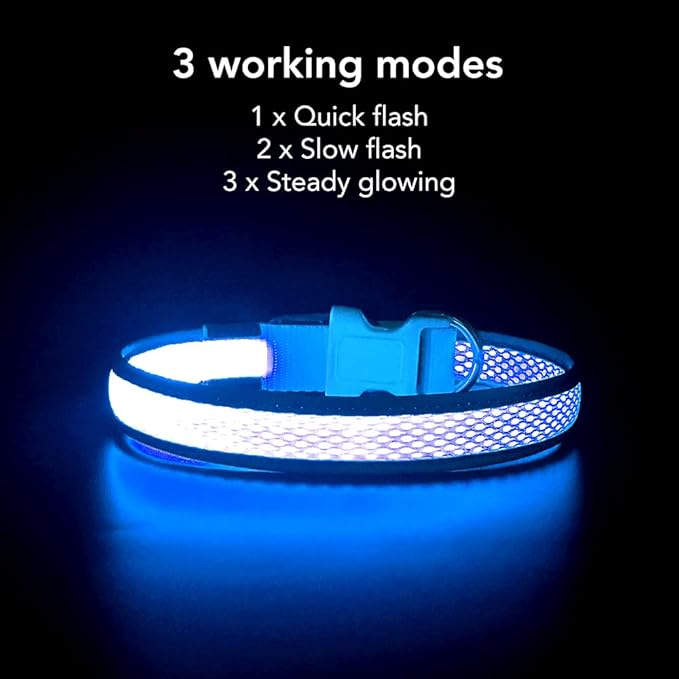 YFbrite Light up Dog Collar, USB Rechargeable LED Puppy Collar Super Bright Adjustable Glowing Dog Lights for Night Walking (Blue, Large)