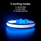 YFbrite Light up Dog Collar, USB Rechargeable LED Puppy Collar Super Bright Adjustable Glowing Dog Lights for Night Walking (Blue, Small)