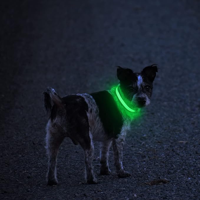 MASBRILL LED Dog Collar,Night Light Up Dog Collars Rechargeable Waterproof Glowing Dog Collar for Small Medium Large Dogs