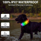 Light Up Dog Collar - Multicolor LED Dog Collar with 3 Glow Modes, Rechargeable Glow in The Dark Dog Collars for Small, Medium & Large Dogs, 1000 Ft Visibility, IPX7 Waterproof (Black, M)