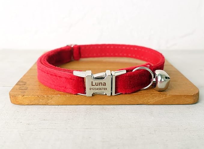 Cat Collar Personalized with Name Phone Number Engraved,Customized with Bell for Small Dogs Puppy Kitten