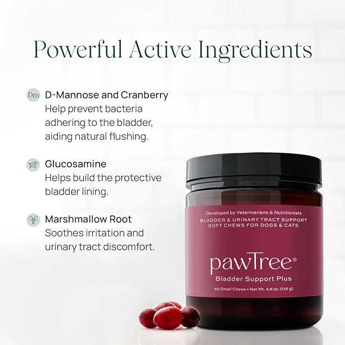 pawTree Bladder Support Plus for Dogs and Cats - Bladder & Urinary Tract Wellness Supplement - with D-Mannose, Cranberry, Glucosamine and Marshmallow Root to Support Bladder Health (Large)