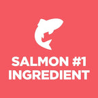 Hill's Science Diet Sensitive Stomach & Skin, Kitten, Stomach & Skin Sensitivity Support, Dry Cat Food, Salmon & Brown Rice, 6 lb Bag