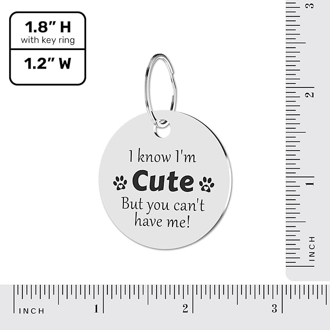 MYLUCKYTAG QR Code Stainless Steel Personalized Dog ID Tag, Digital Pet Profile, Pet Location Alert Email