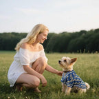 Pet Sweaters for Dogs Boys and Girls, Dynamic Letter Patterned Dog Sweater,Dog Cardigan,Pet Clothes,Pet Knitted Clothing,Fit for Different Seasons and Kinds of Dogs(Blue 3XL)