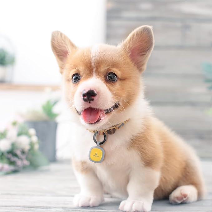 Pawaii QR Code Dog ID Tag, Silent Silicone Tag, Modifiable Pet Online Profile, Free Emergency Contact, Scan QR for Instant Pet Location Alert Email, 1Pack (Sky Blue)