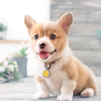 Pawaii QR Code Dog ID Tag, Silent Silicone Tag, Modifiable Pet Online Profile, Free Emergency Contact, Scan QR for Instant Pet Location Alert Email, 1Pack (Sky Blue)