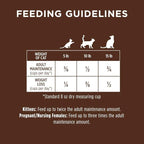 Original Salmon Dry Cat Food, 4.5 lb. Bag